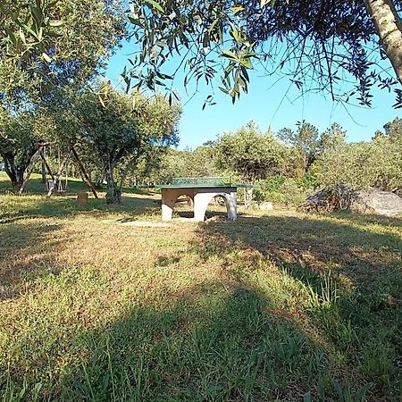 Гостьовий будинок Quinta Da Pedra Mija Santar Екстер'єр фото