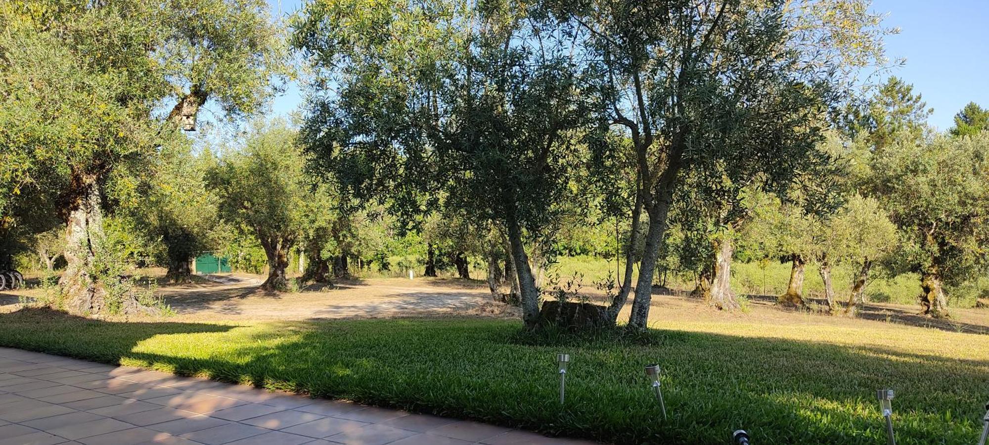 Гостьовий будинок Quinta Da Pedra Mija Santar Екстер'єр фото