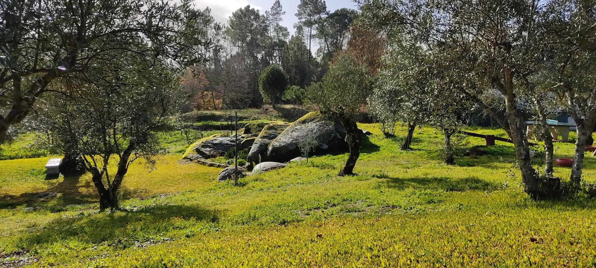 Гостьовий будинок Quinta Da Pedra Mija Santar Екстер'єр фото