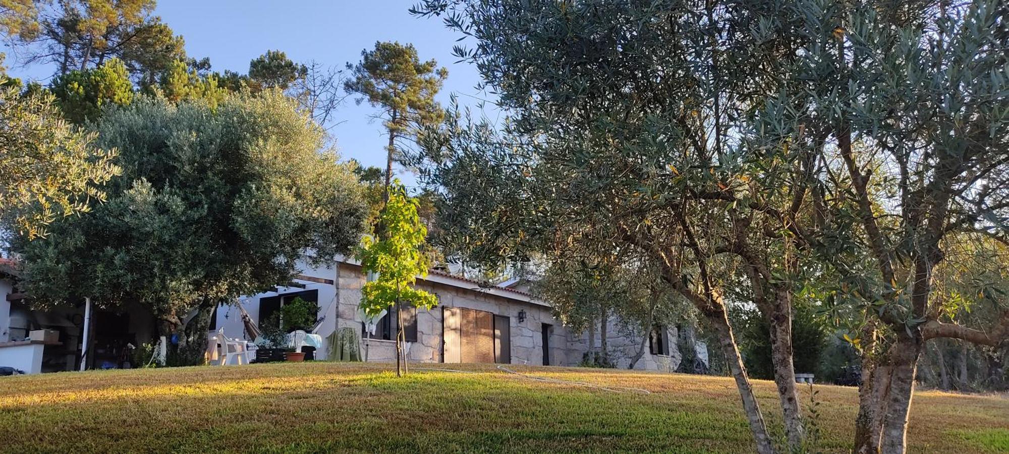 Гостьовий будинок Quinta Da Pedra Mija Santar Екстер'єр фото