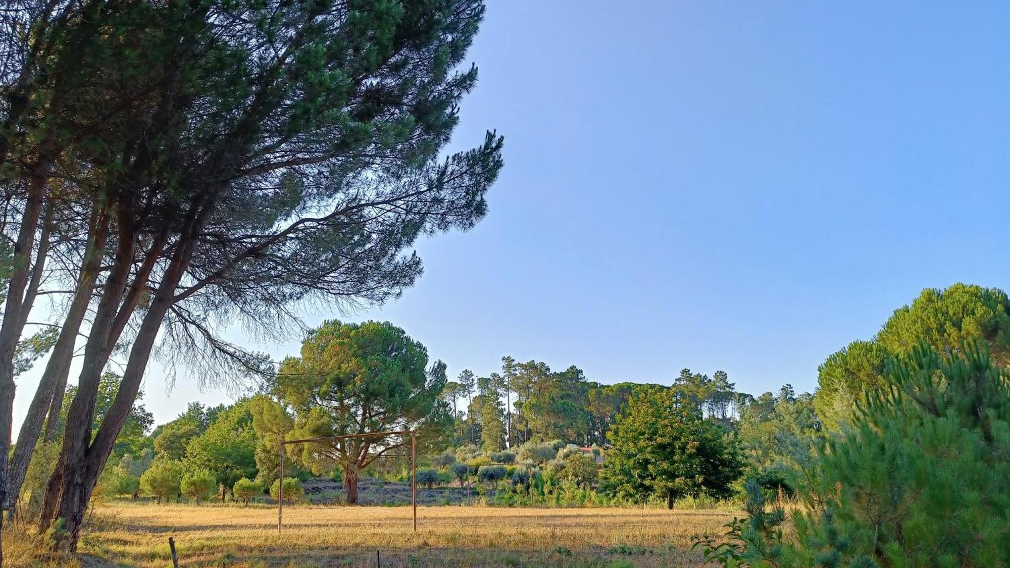 Гостьовий будинок Quinta Da Pedra Mija Santar Екстер'єр фото