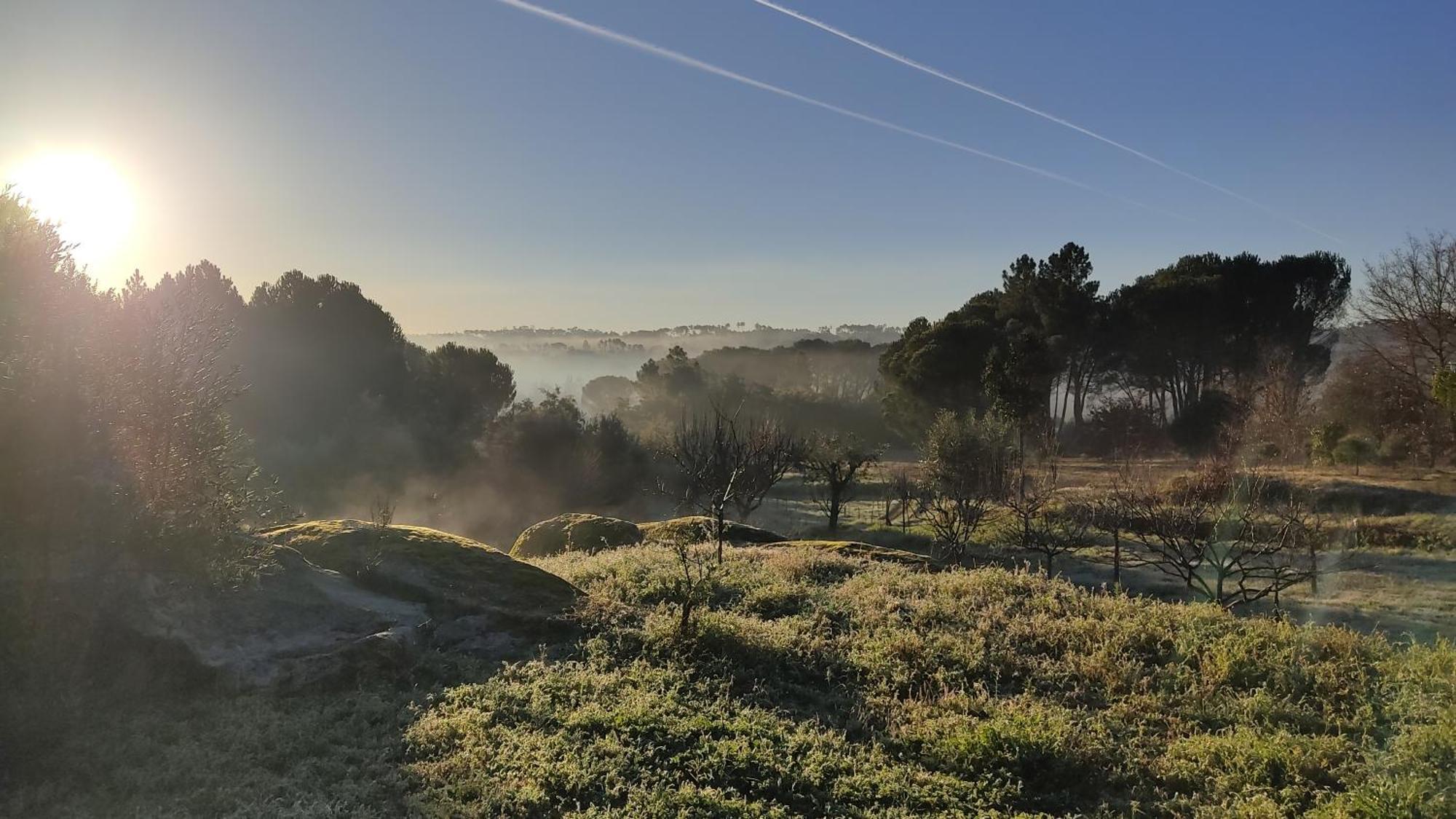 Гостьовий будинок Quinta Da Pedra Mija Santar Екстер'єр фото