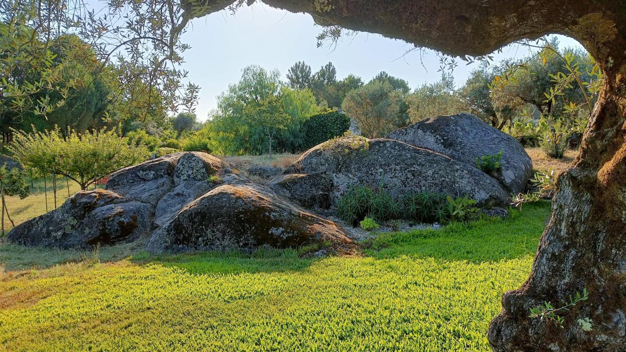 Гостьовий будинок Quinta Da Pedra Mija Santar Екстер'єр фото