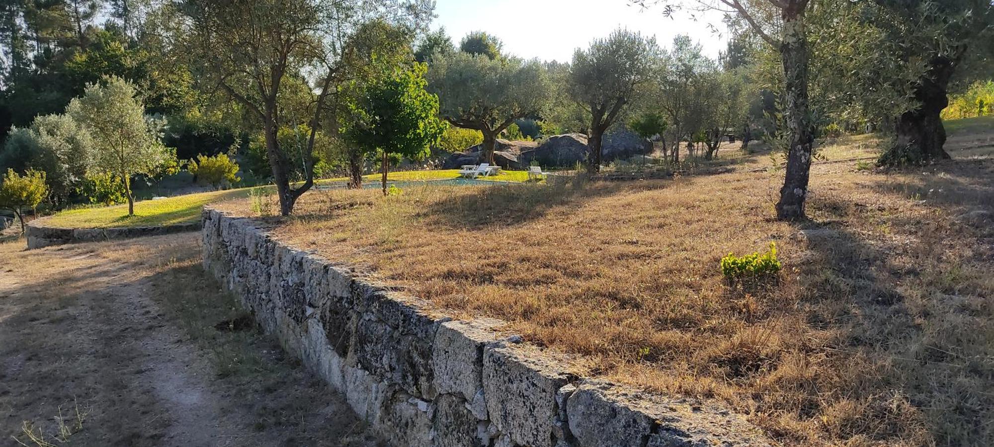 Гостьовий будинок Quinta Da Pedra Mija Santar Екстер'єр фото