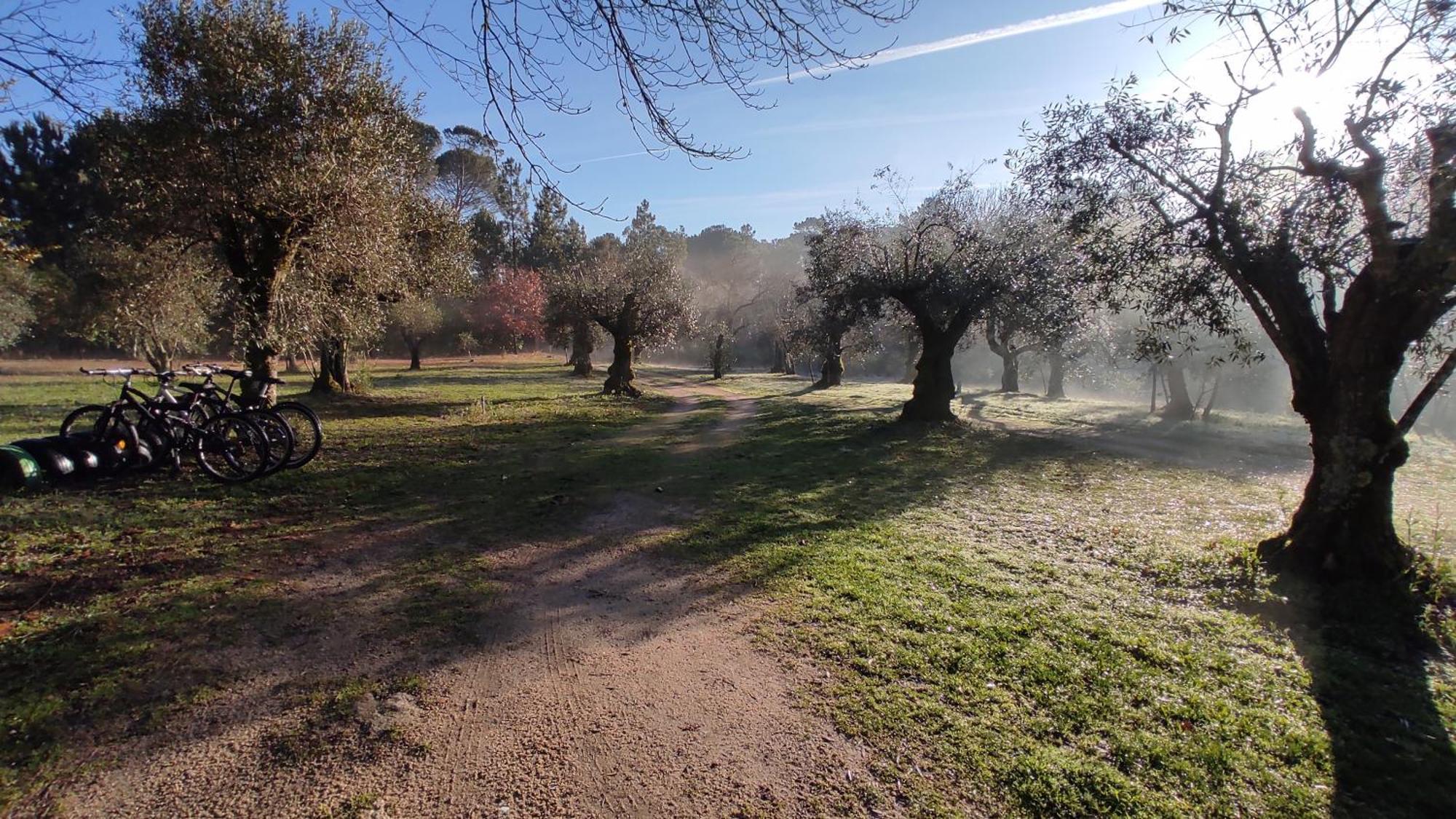Гостьовий будинок Quinta Da Pedra Mija Santar Екстер'єр фото