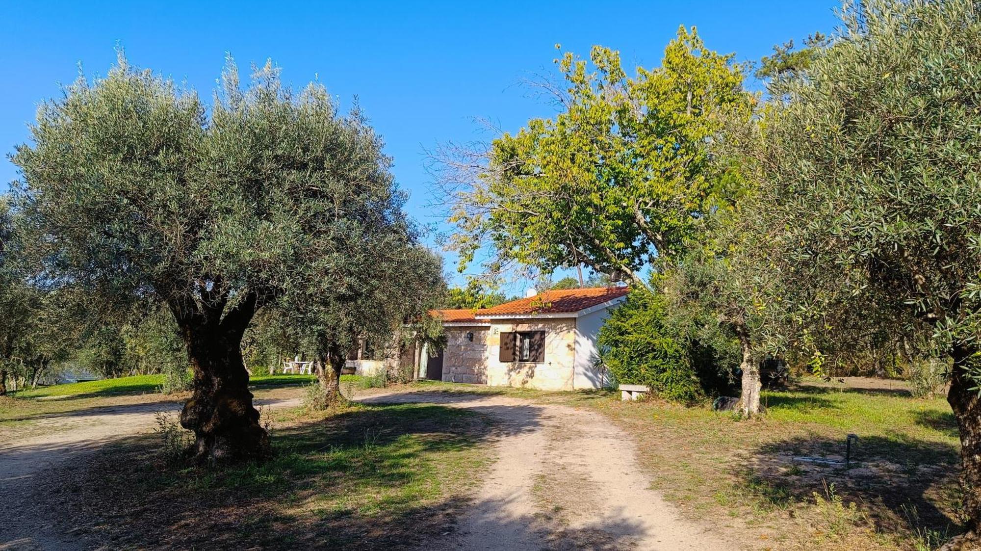 Гостьовий будинок Quinta Da Pedra Mija Santar Екстер'єр фото