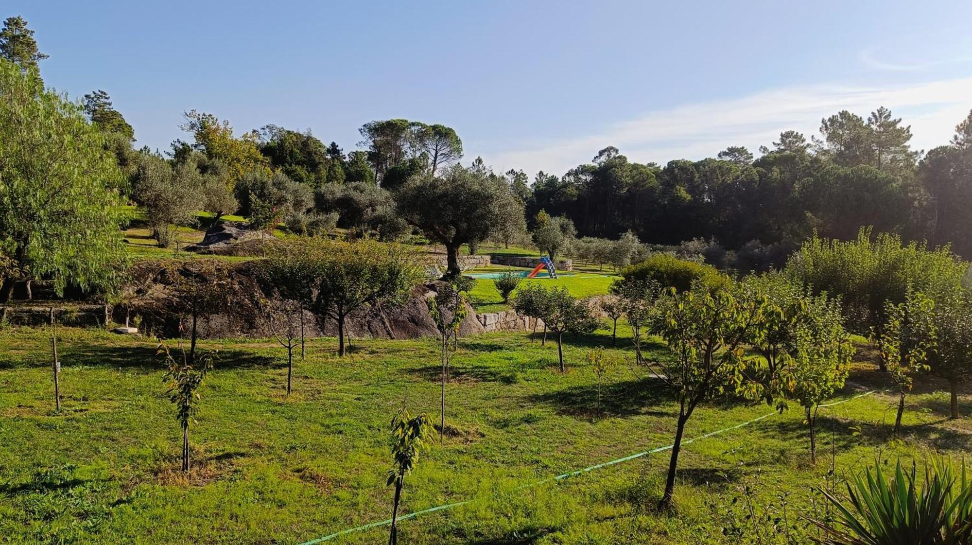 Гостьовий будинок Quinta Da Pedra Mija Santar Екстер'єр фото