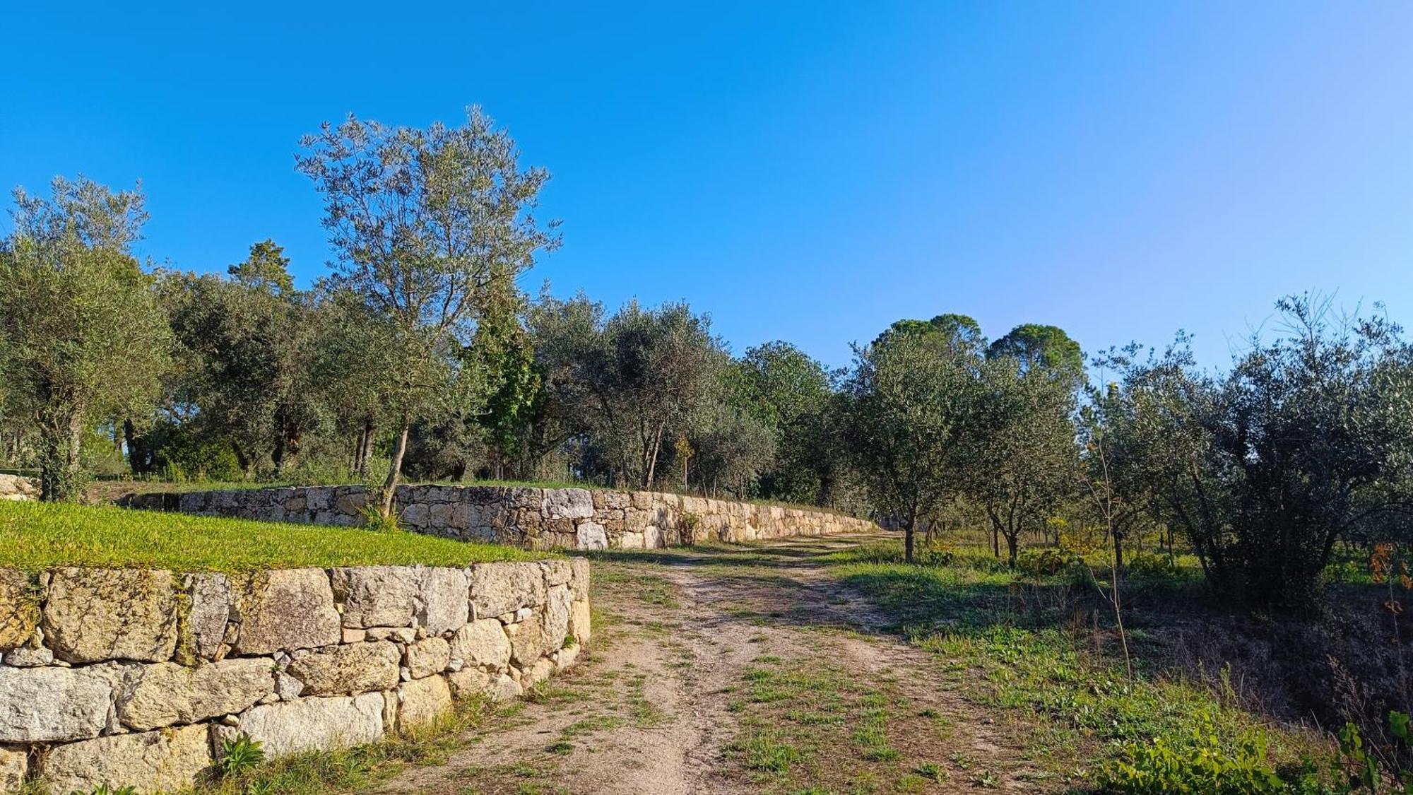 Гостьовий будинок Quinta Da Pedra Mija Santar Екстер'єр фото