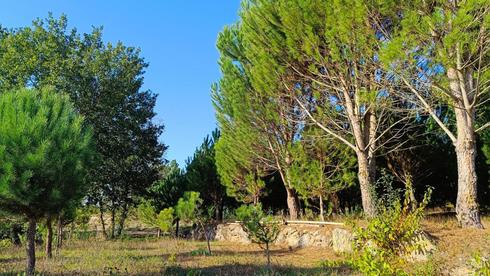Гостьовий будинок Quinta Da Pedra Mija Santar Екстер'єр фото