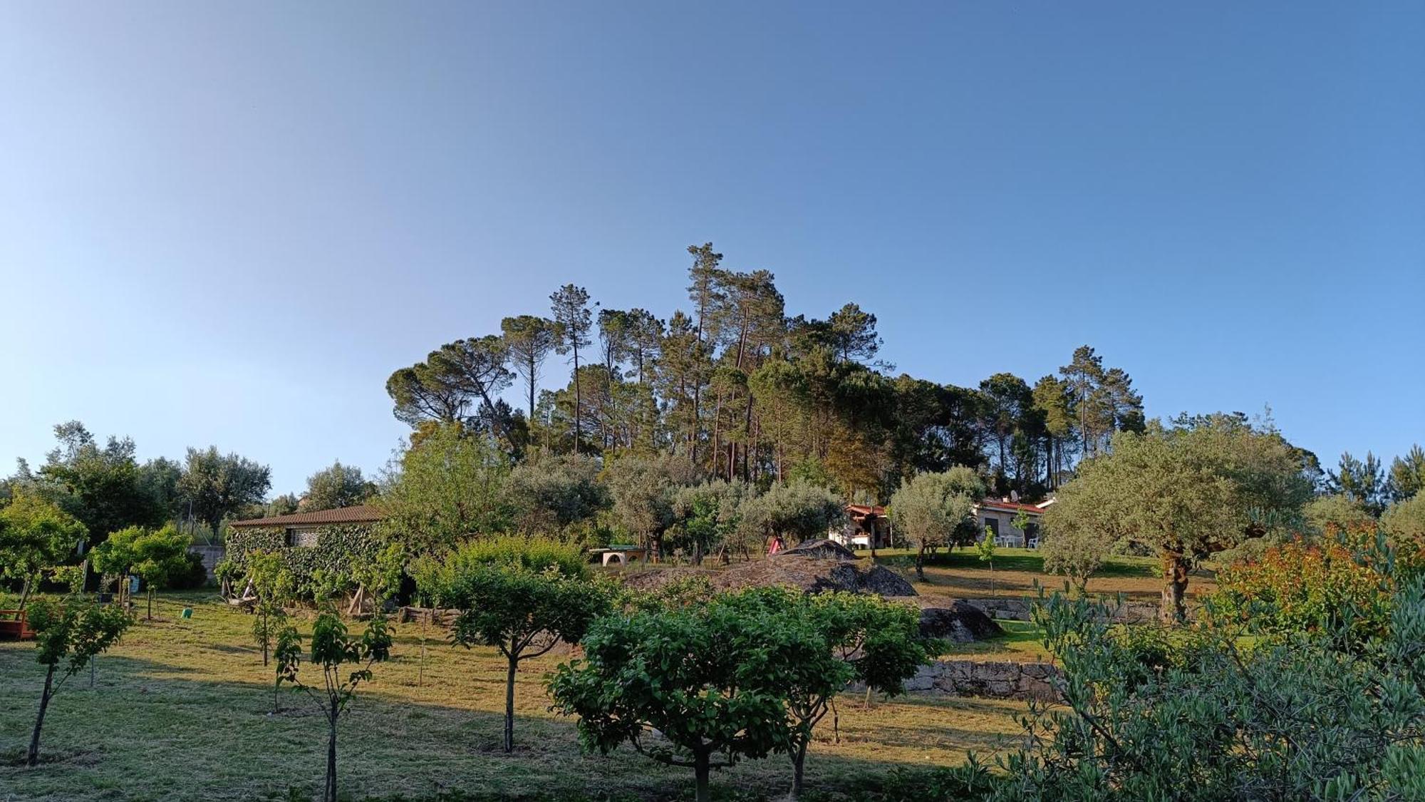 Гостьовий будинок Quinta Da Pedra Mija Santar Екстер'єр фото