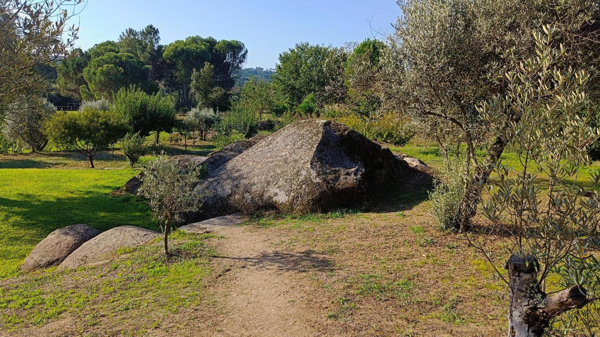 Гостьовий будинок Quinta Da Pedra Mija Santar Екстер'єр фото