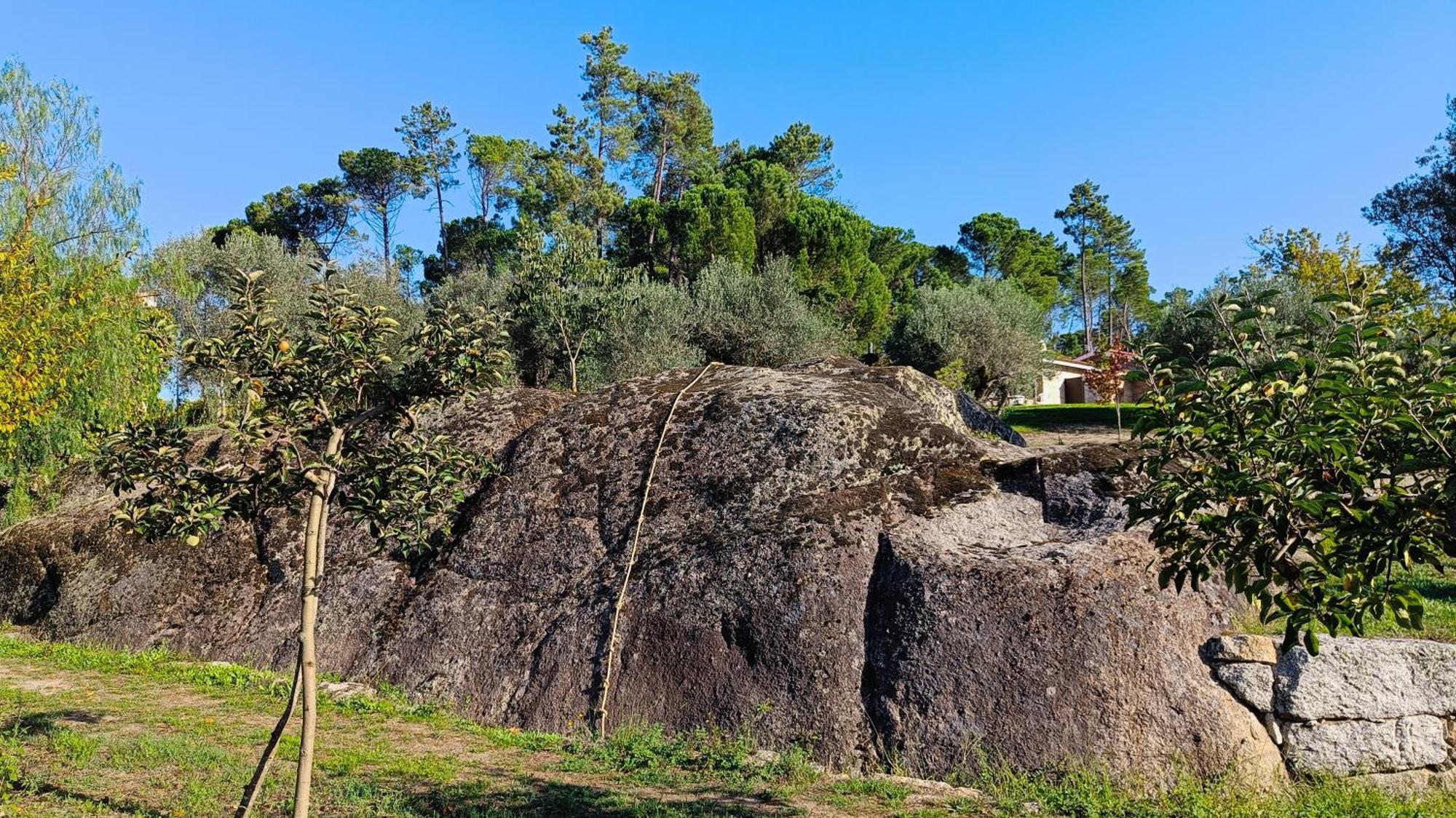 Гостьовий будинок Quinta Da Pedra Mija Santar Екстер'єр фото
