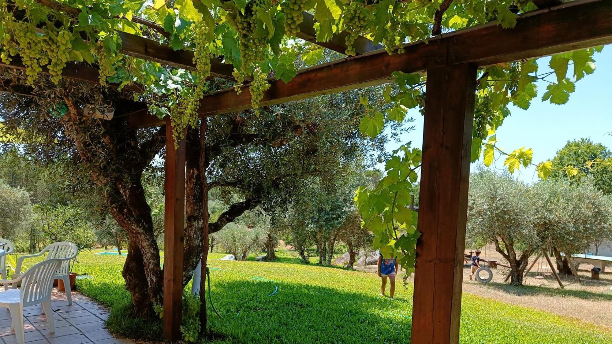 Гостьовий будинок Quinta Da Pedra Mija Santar Екстер'єр фото
