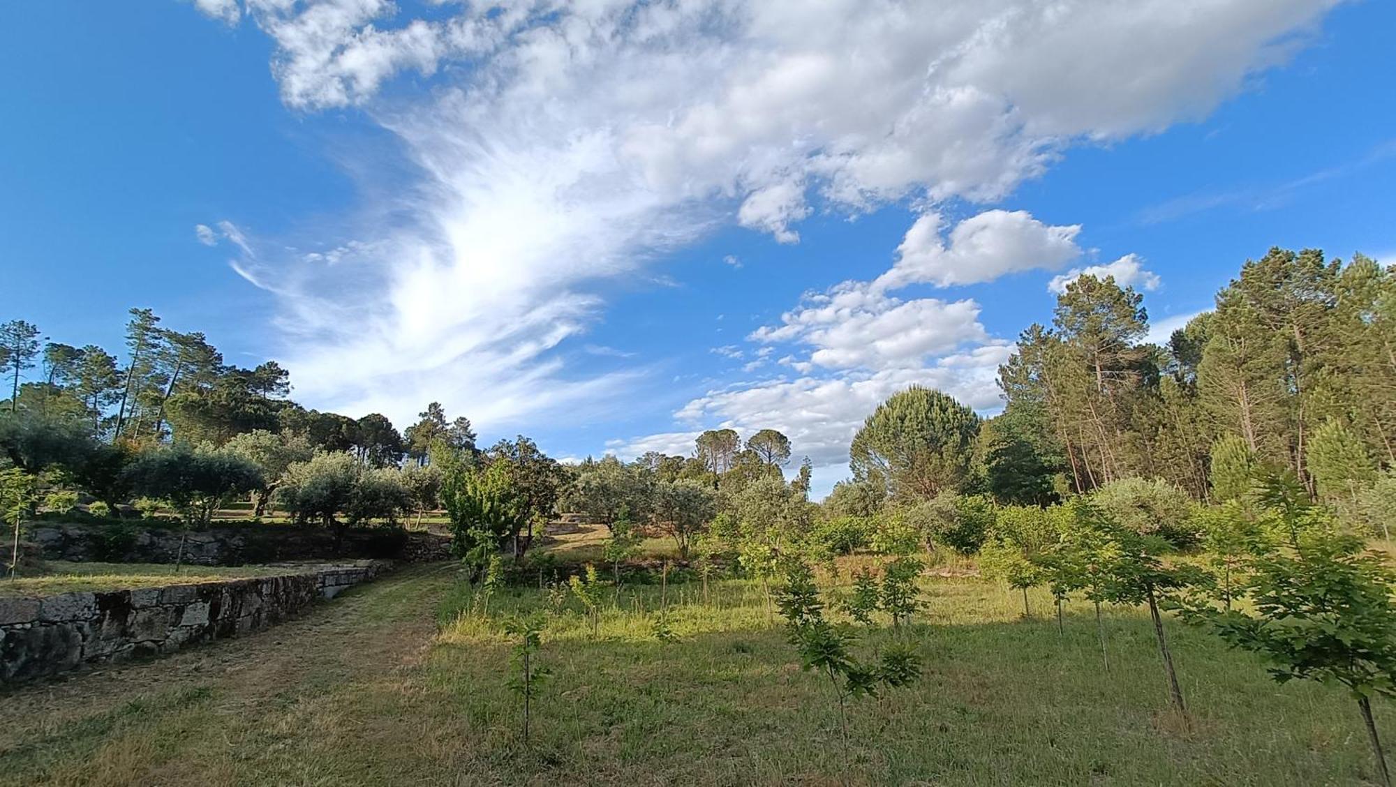 Гостьовий будинок Quinta Da Pedra Mija Santar Екстер'єр фото