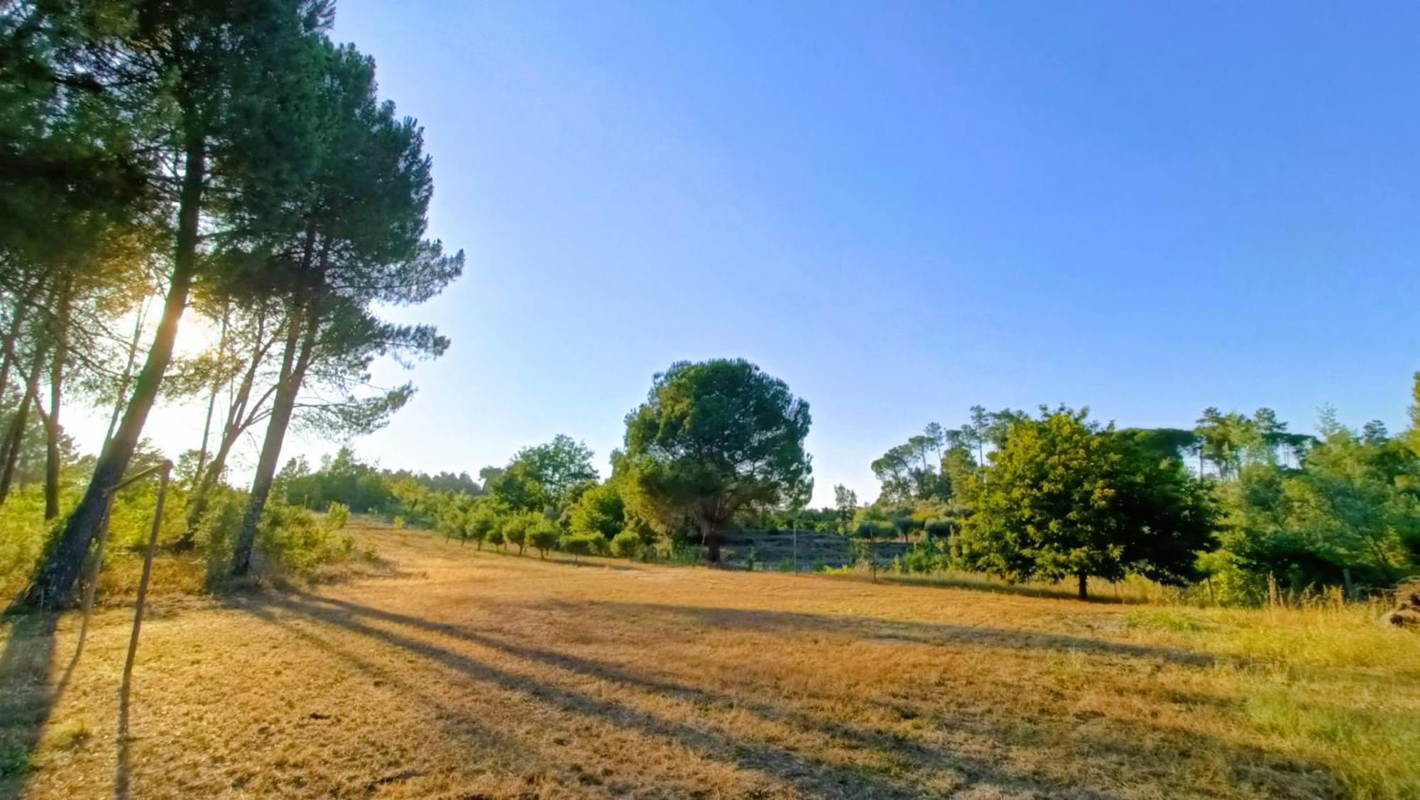 Гостьовий будинок Quinta Da Pedra Mija Santar Екстер'єр фото