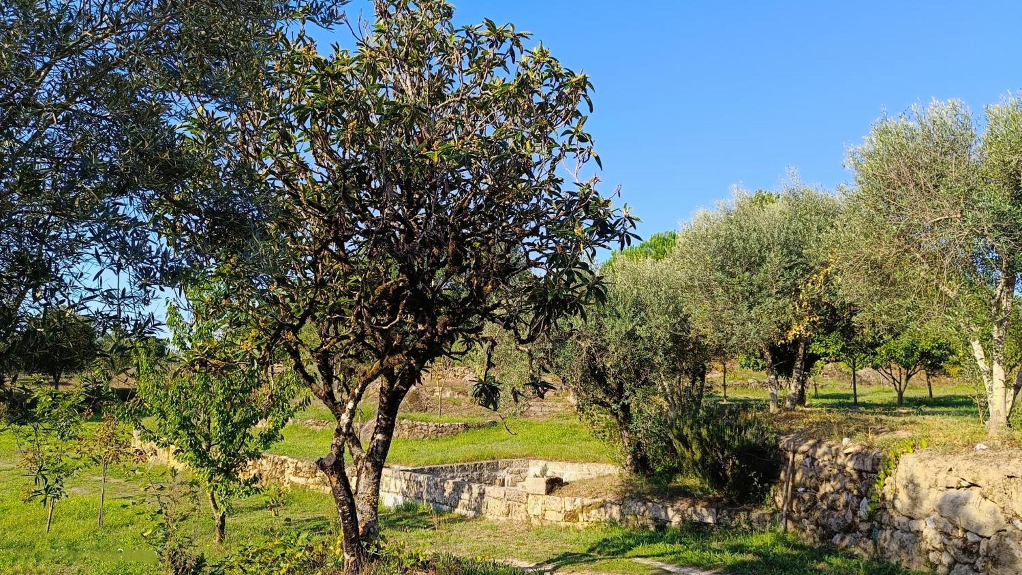 Гостьовий будинок Quinta Da Pedra Mija Santar Екстер'єр фото