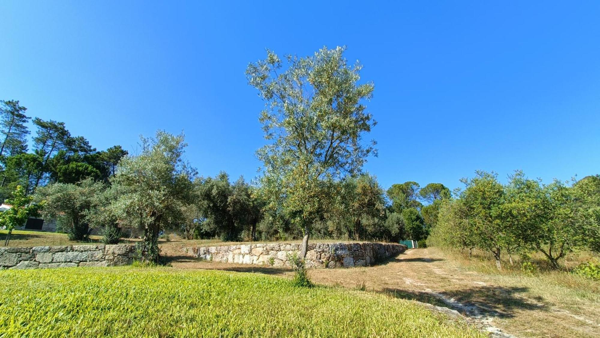 Гостьовий будинок Quinta Da Pedra Mija Santar Екстер'єр фото