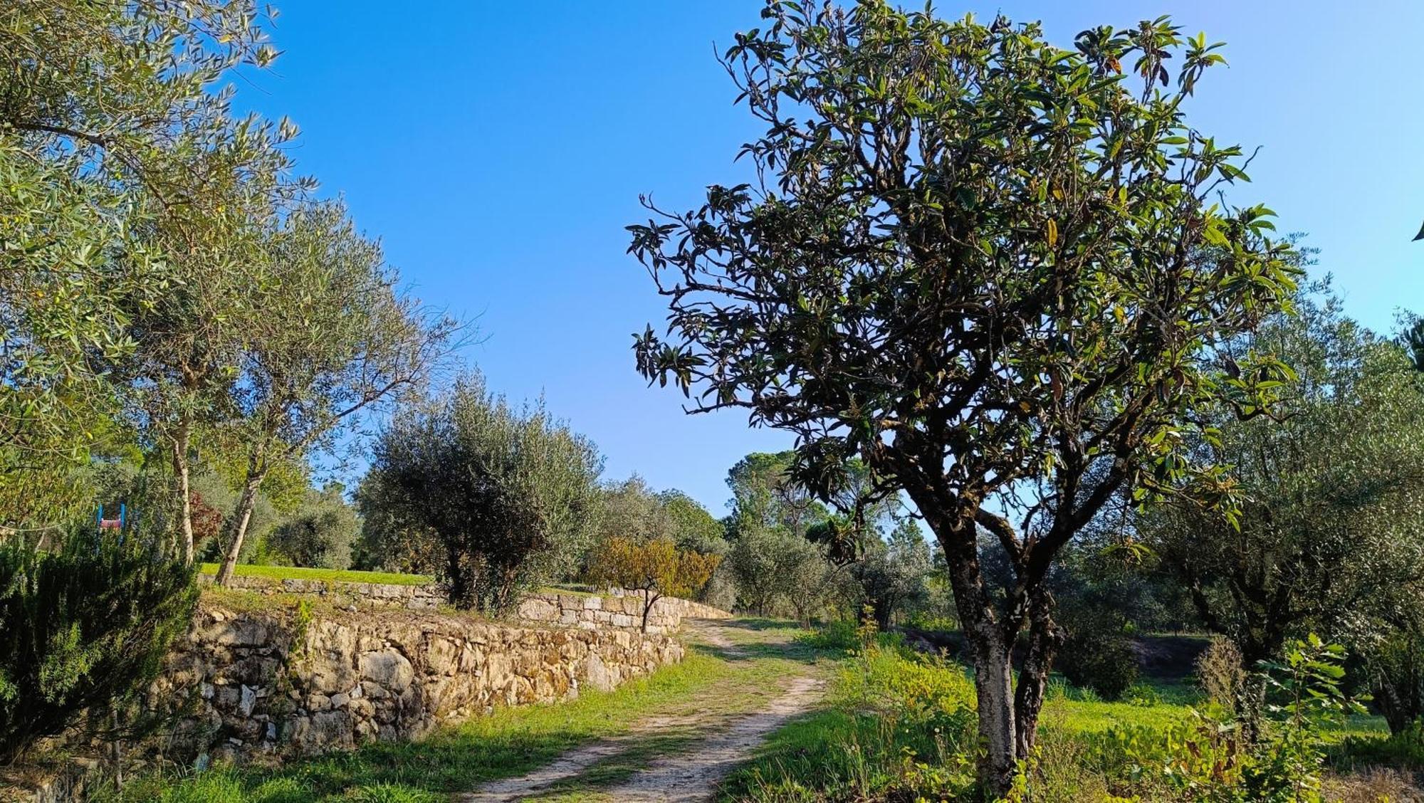 Гостьовий будинок Quinta Da Pedra Mija Santar Екстер'єр фото